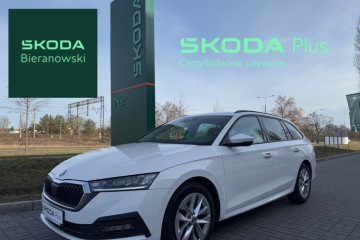 1.5TSI E-TEC Ambition 2022/23 DSG PL Salon FV23%