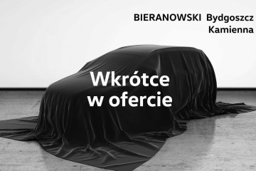 I właściciel - Salon PL - Pakiet Zimowy - Czujniki - Kamera - Faktura
